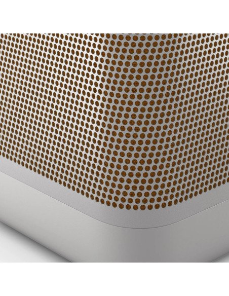Beolit 20 Portable Speaker – Bang & Olufsen | Ardenon