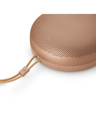 Beosound A1 Waterproof Bluetooth Speaker – Bang & Olufsen | Ardenon