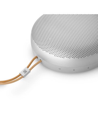 Beosound A1 Waterproof Bluetooth Speaker – Bang & Olufsen | Ardenon