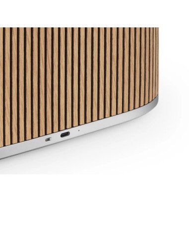 Beosound A5 Portable WiFi Speaker – Bang & Olufsen | Ardenon