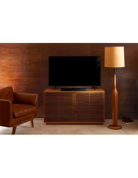 TV Speaker