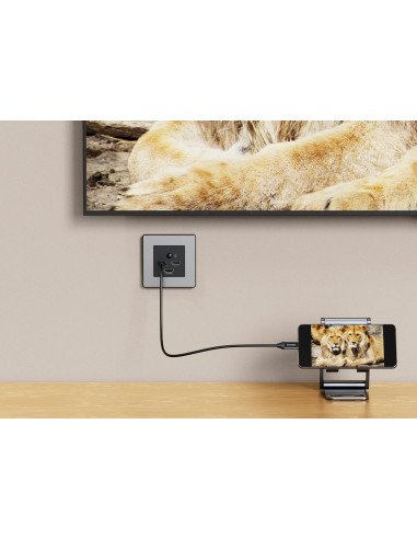 MediaHub Pro by TeleAdapt | Guest Room Connectivity