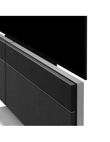 Beovision Harmony 77