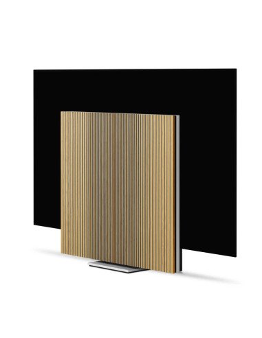 Beovision Harmony 77