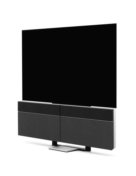 Beovision Harmony 83