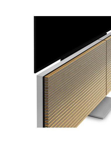 Beovision Harmony 83