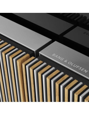 Beovision Harmony 83